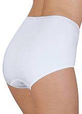 Pack of 3 Everyday Briefs