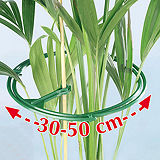 Plant Support